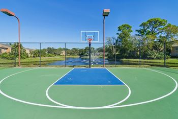 Basketball court